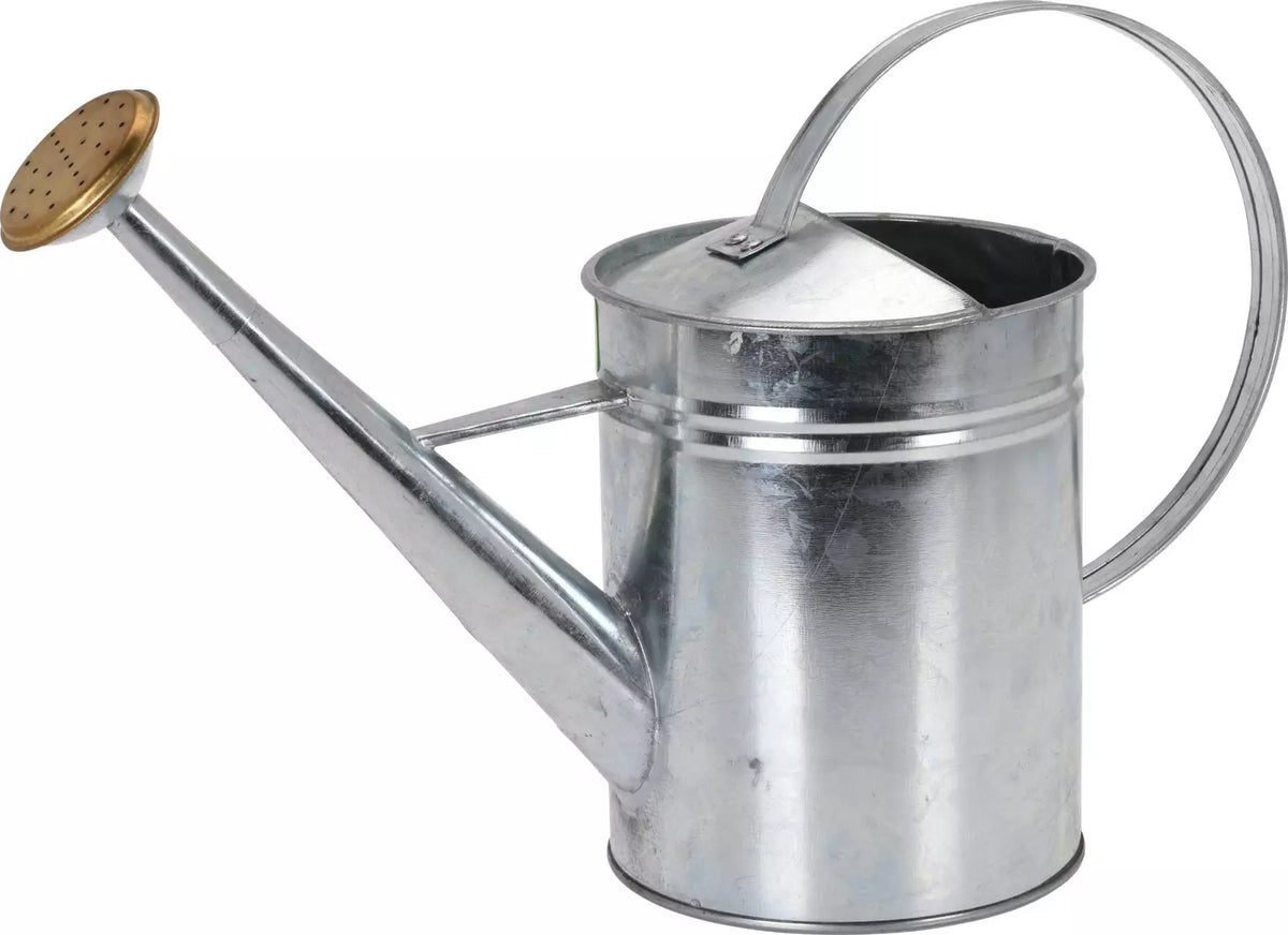 Sinkki Kastelukannu 1.9 l